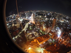 東京タワーから見た東京タワー