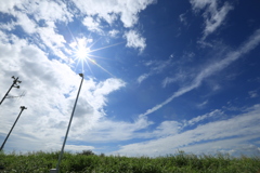 久しぶりの太陽