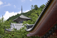 Tsubosakadera