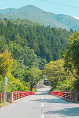 ジブリみたいな道