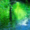 緑の水面