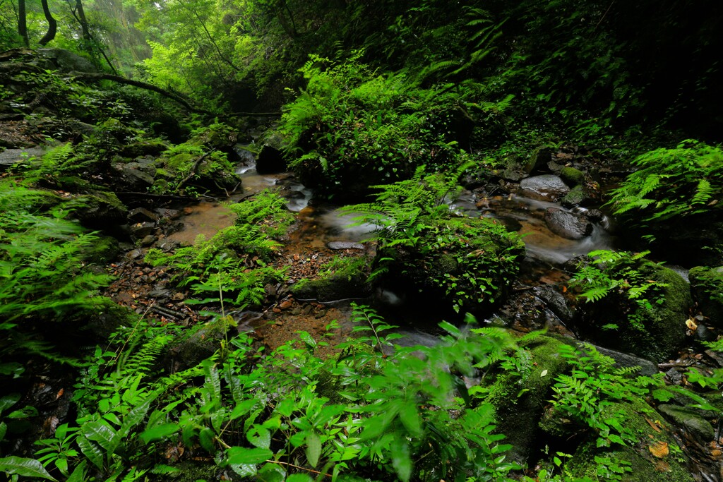 万緑の情景・・・乙原の滝（おとばる）