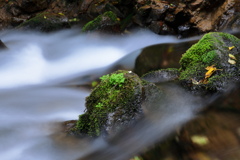 水の音色（ねいろ）その一