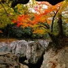 猿飛千壺峡の秋
