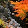 魔林峡の秋