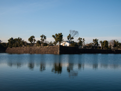 P2120848