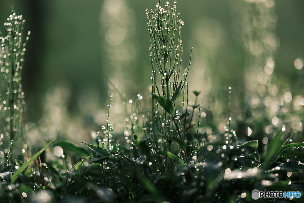 水滴