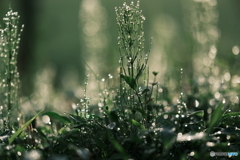 水滴