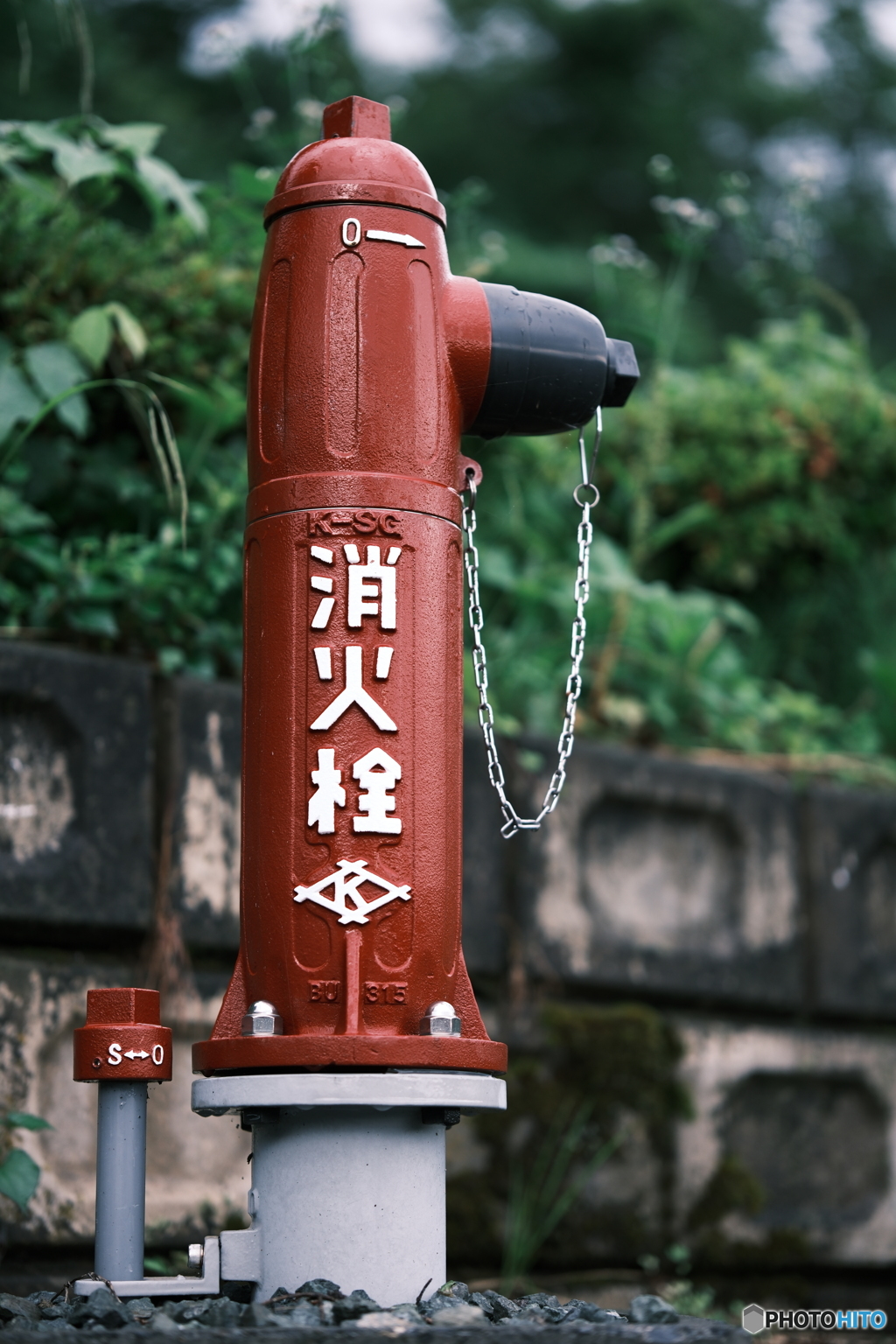 雨上がりの消火栓