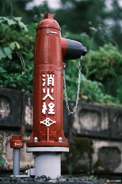 雨上がりの消火栓