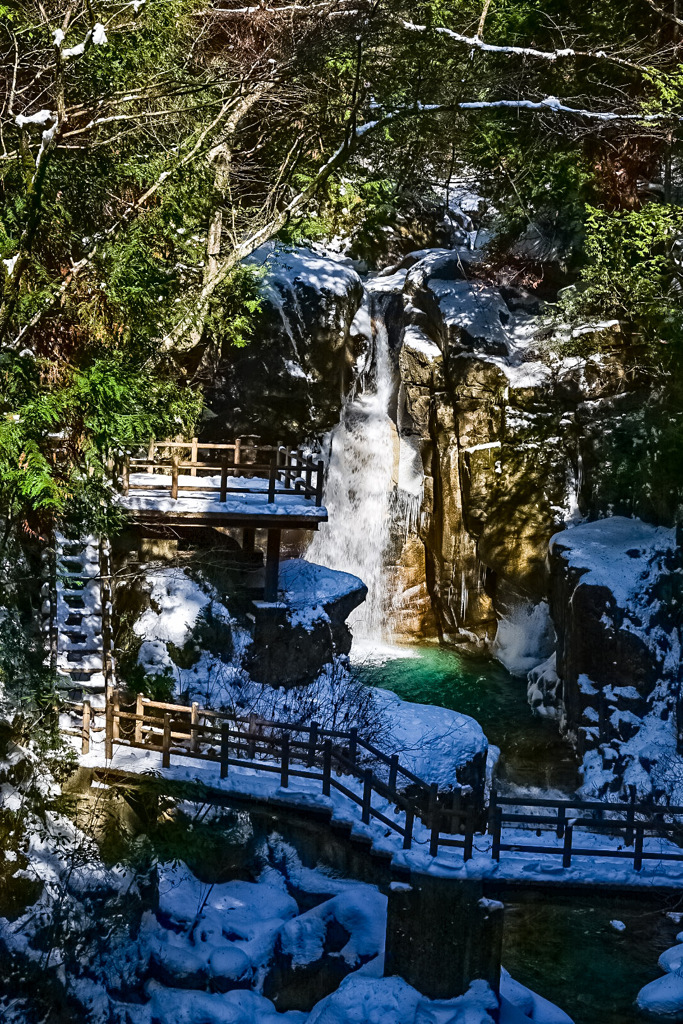 PSX_20250201_194632