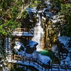 PSX_20250201_194632