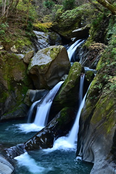 DSC_6106