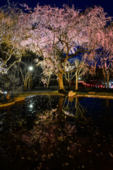 PSX_20250329_164636