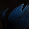 PSX_20220321_195004