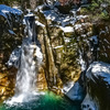 PSX_20250201_194056