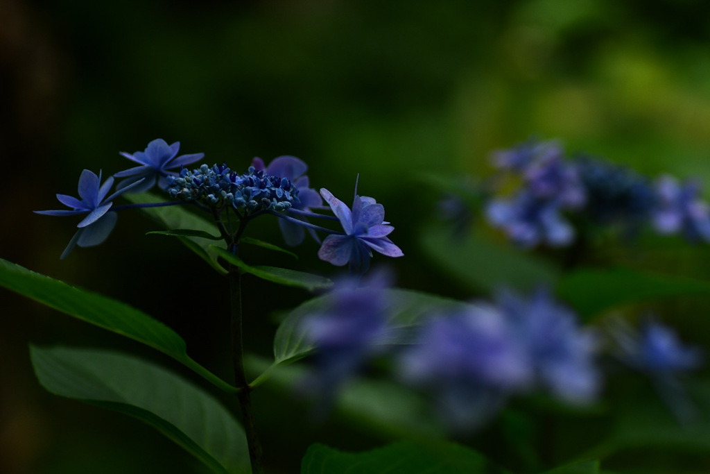 PSX_20220618_102653