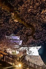 PSX_20250407_070153
