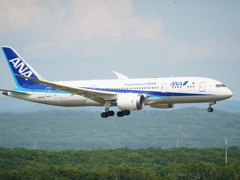 Boeing 787-8 Dreamliner