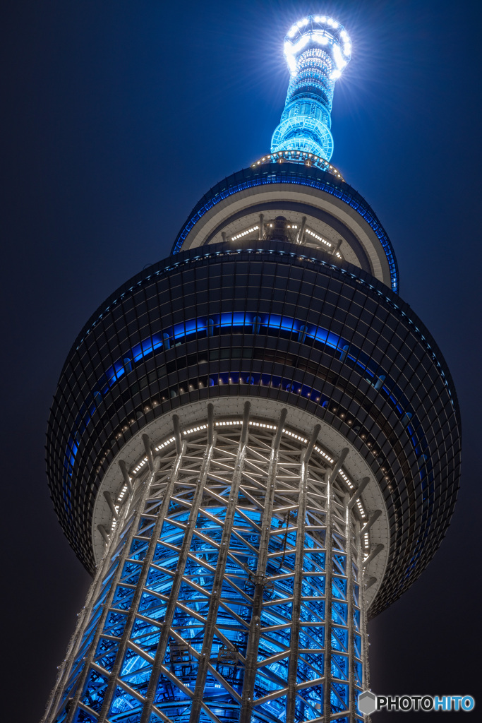 スカイツリーを見上げる