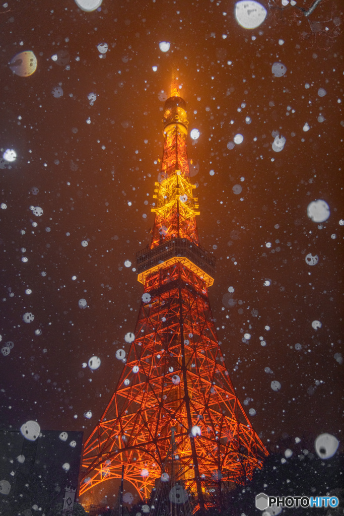 雪降る東京タワー