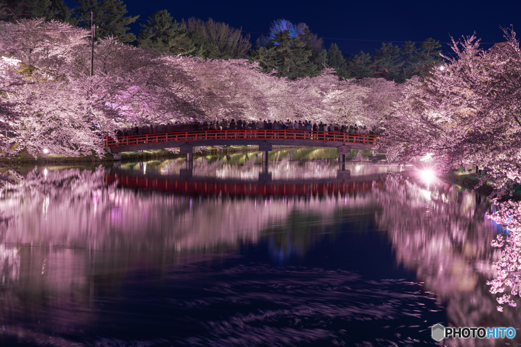 弘前公園の夜桜