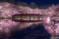 弘前公園の夜桜