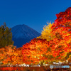 富士山とライトアップされた紅葉