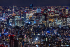 スカイツリーから眺める東京の夜景