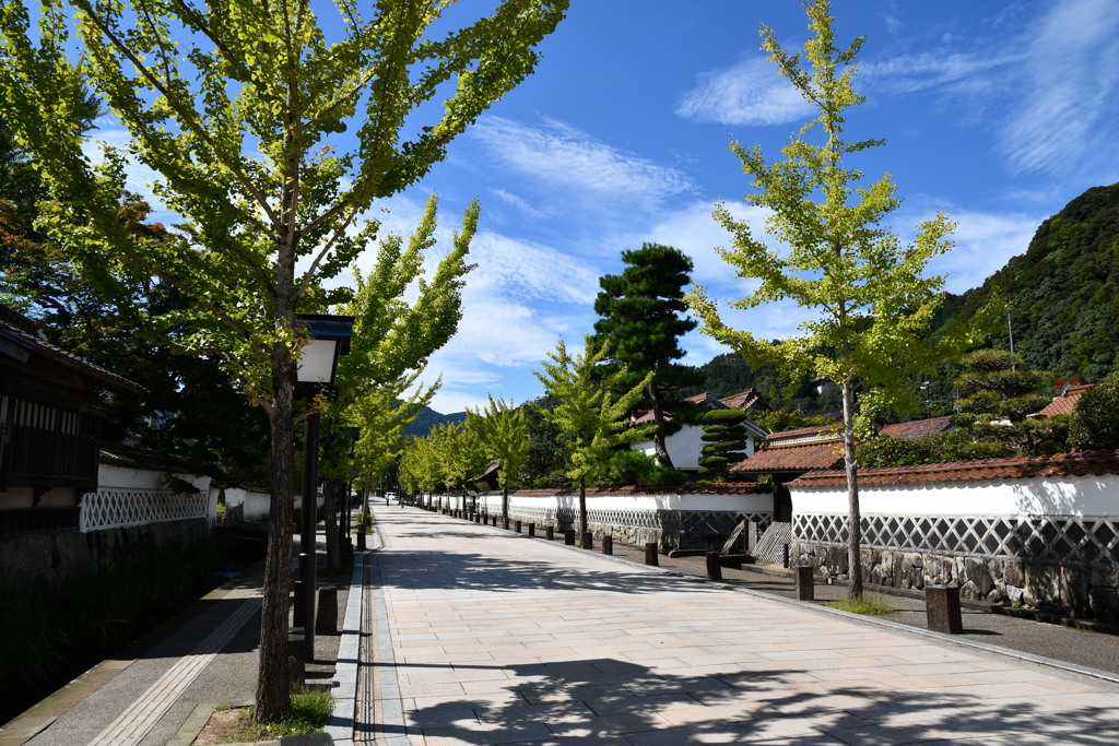 殿町通り