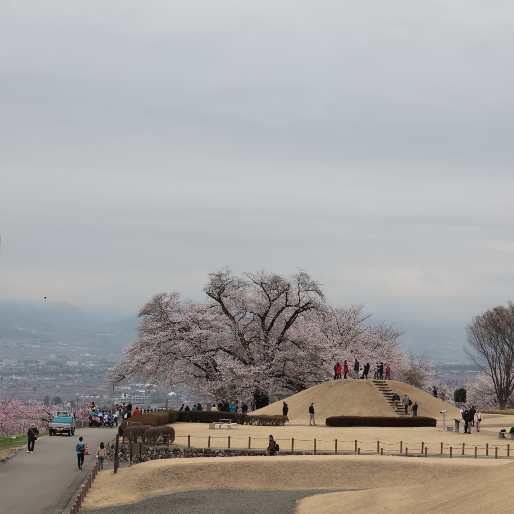 八代ふるさと公園からの桃源郷➁