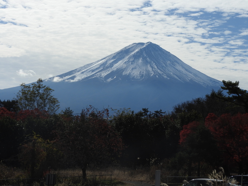 もみじ回廊の付近からの富士山の眺望！