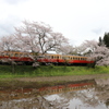 懐かしの飯給駅の桜と車両