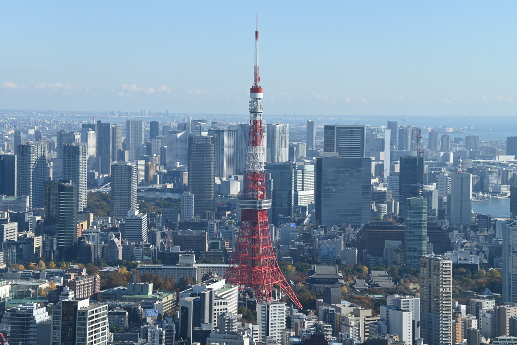 東京タワー