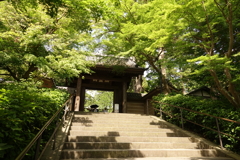 いざ鎌倉へ➂