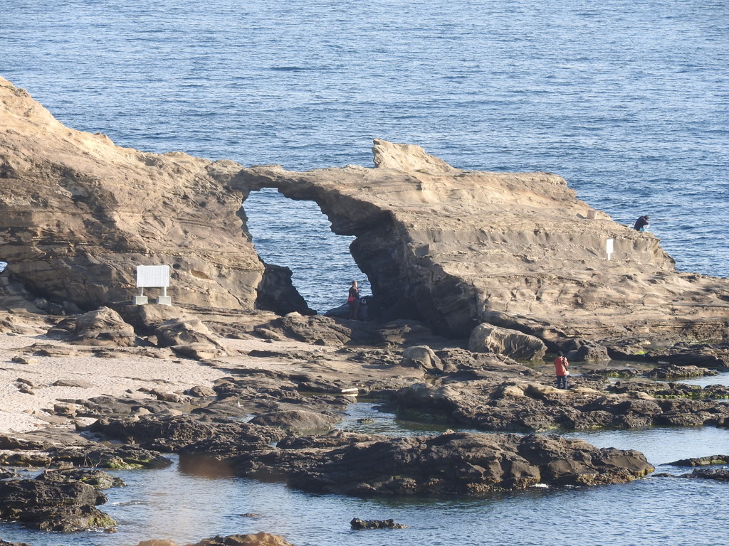 城ヶ島名物！？