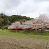 小湊鉄道➂