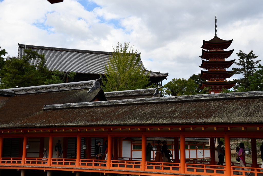 厳島神社から五重塔を眺望！