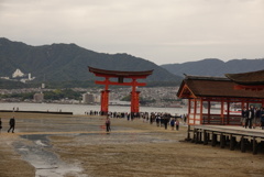 厳島神社②