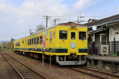 菜の花色の車両