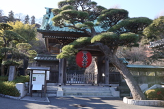 長谷寺
