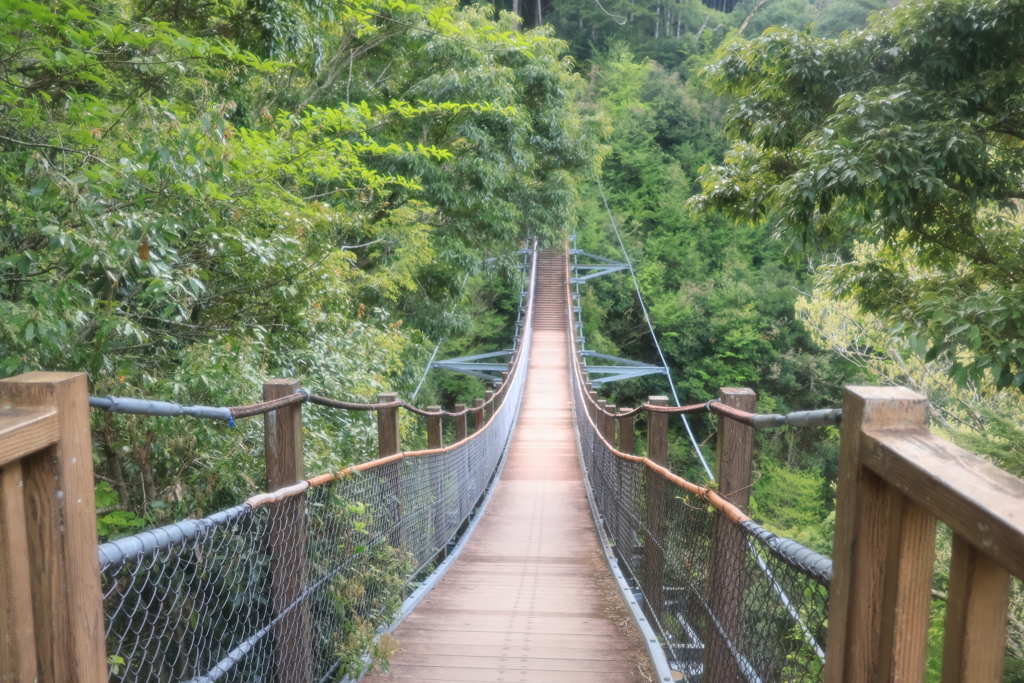 接岨峡温泉➂