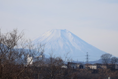 富士山眺望！