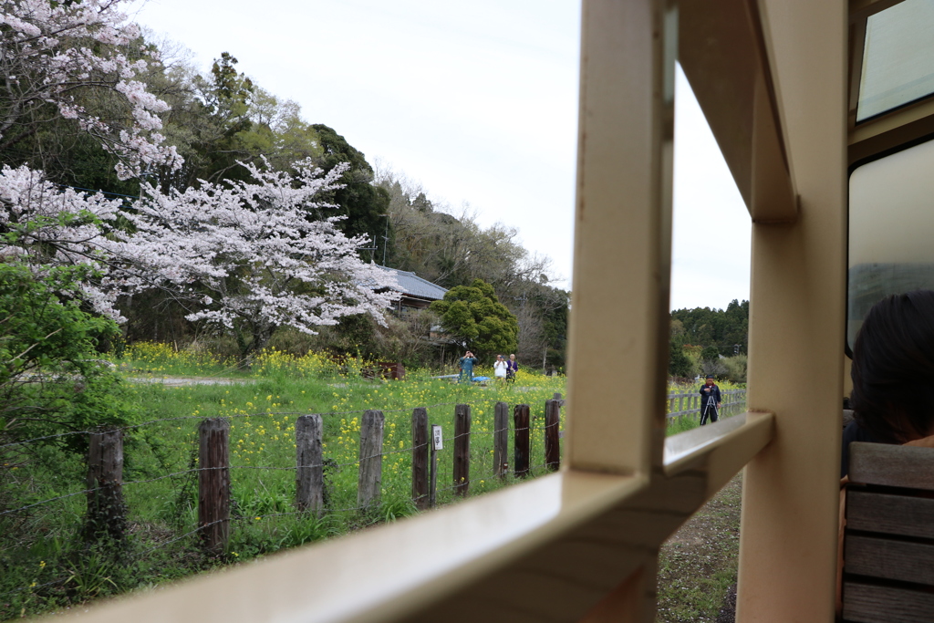 里山トロッコ号の車内からの風景