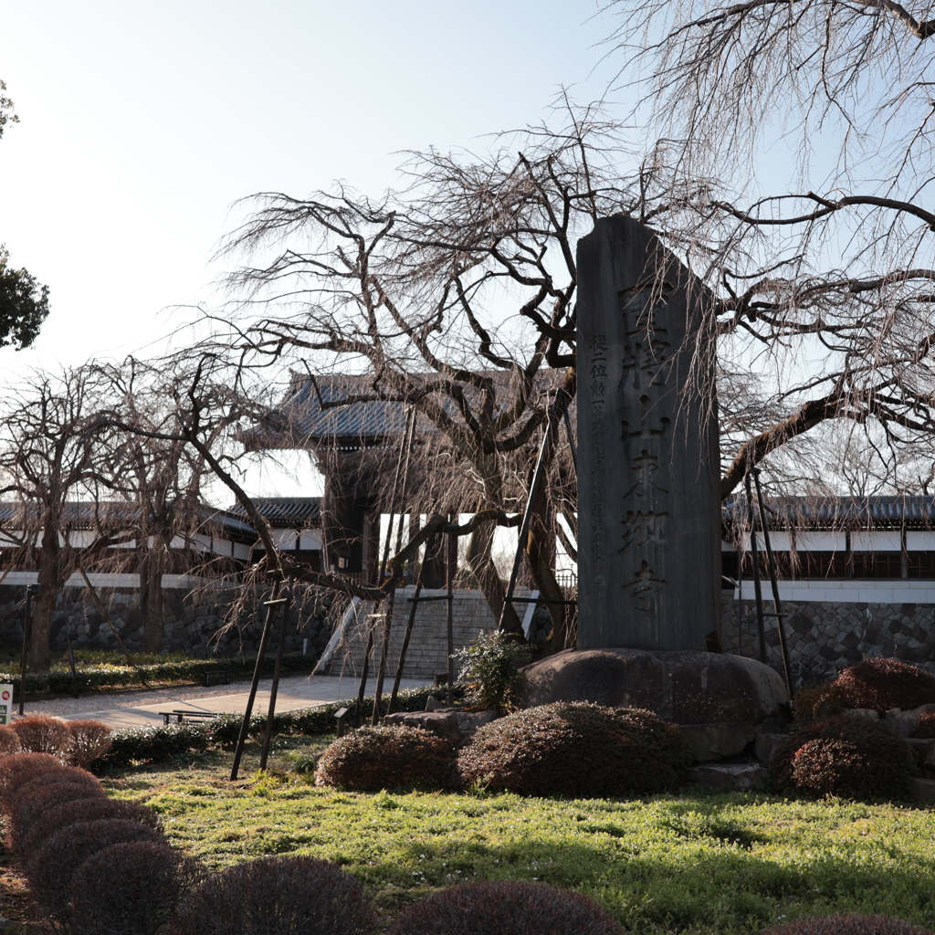 東郷寺