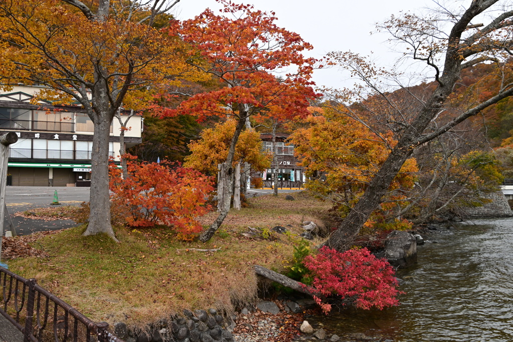 紅葉の時期の十和田湖畔