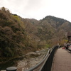 ぶなの湯周辺の自然風景