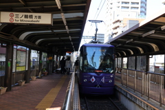 都電荒川線➀（東京都交通局・さくらトラム）