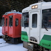 オレンジ色と東北色