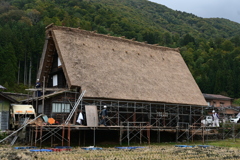 藁ぶき屋根の改装工事の様子